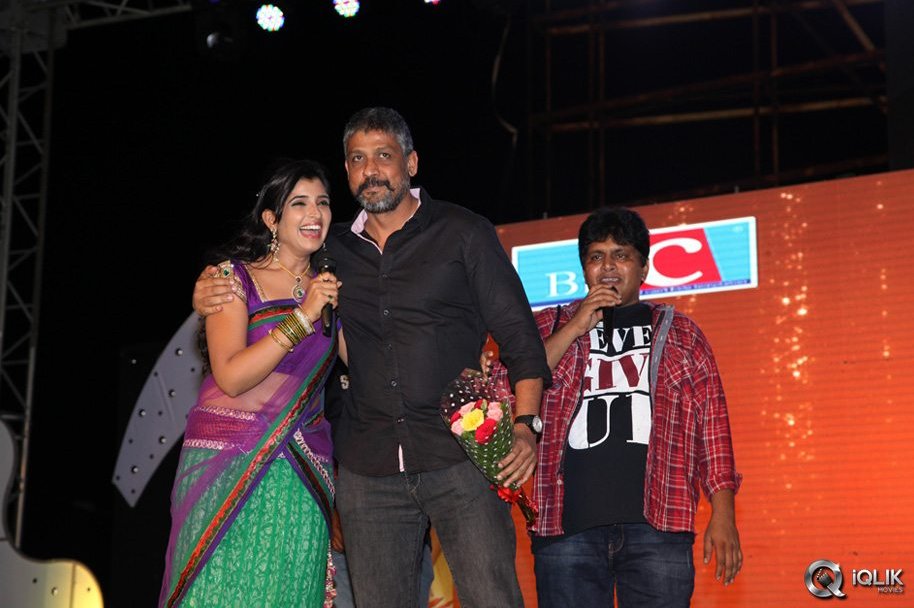 Loukyam-Movie-Audio-Success-Function